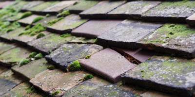 Johnstown roof repair costs